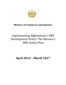 Women-SME-Action-Plan-MOCI-Final
