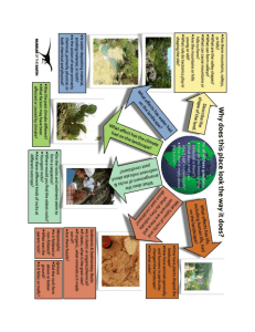 Virtual Fieldwork Experience Development: An Introduction & Brief