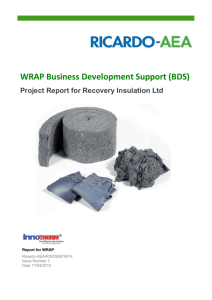 WRAP Business Development Support (BDS) - Inno