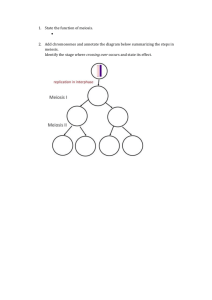 Meiosis questions