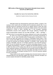 NMR studies of Mycobacterium Tuberculosis Adenylate kinase