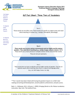Example - MTSS Process FLOW CHART