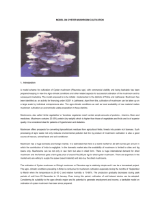 A model scheme for cultivation of Oyster mushroom