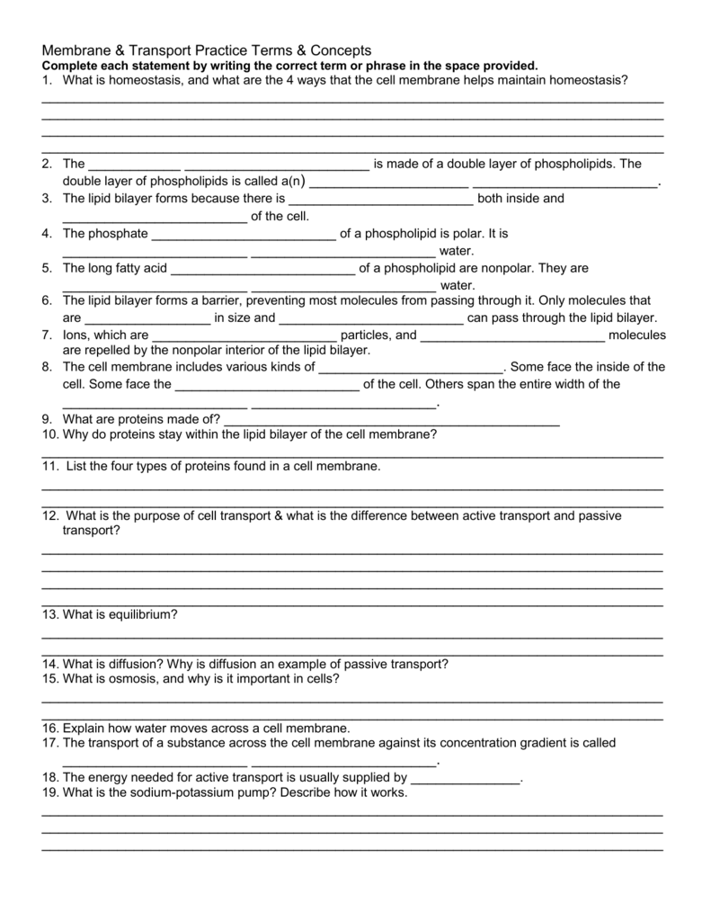 Cell Concept Map Worksheet Answers