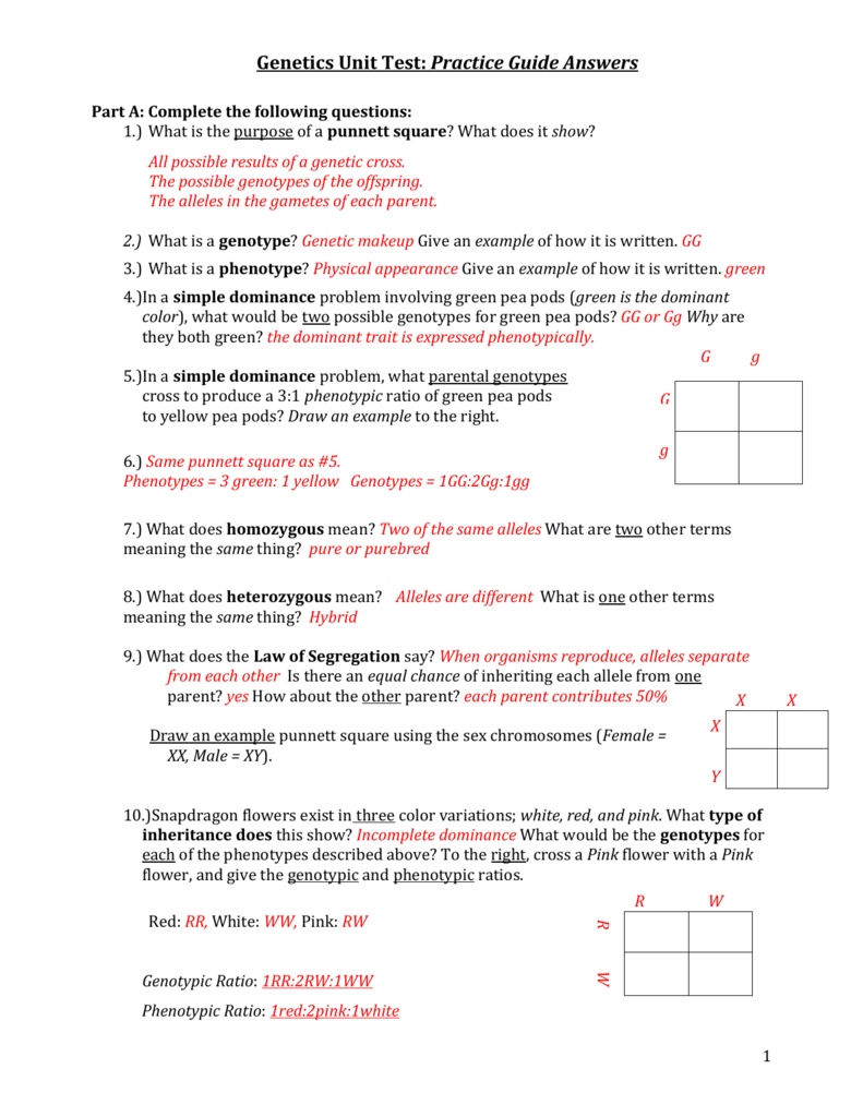 Genetics-Practice-Guide Inside Genetics Practice Problems Worksheet Answers