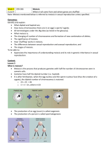 Week 3 Lesson 3 and 4 Meiosis