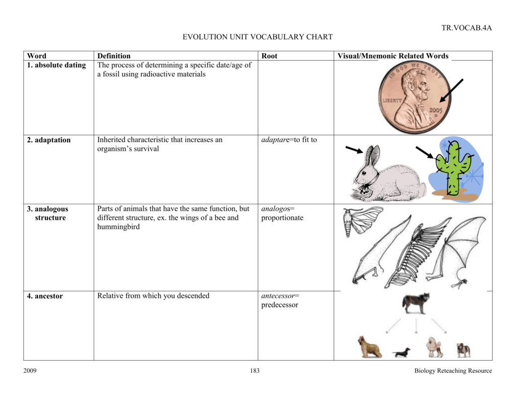 Evolution Chart Biology