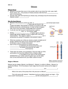 3U SN Meiosis student note