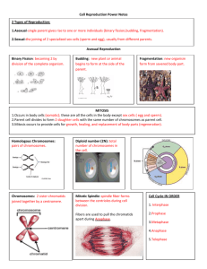 Cell Reproduction Power Notes