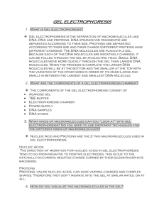 Gel-electrophoresis