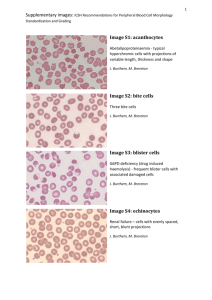 ICSH Recommendations for Peripheral Blood Cell Morphology