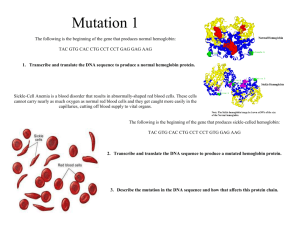 Mutation 1 The following is the beginning of the gene that produces