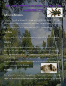 What do Macro Invertebrates tell about the Water Quality??