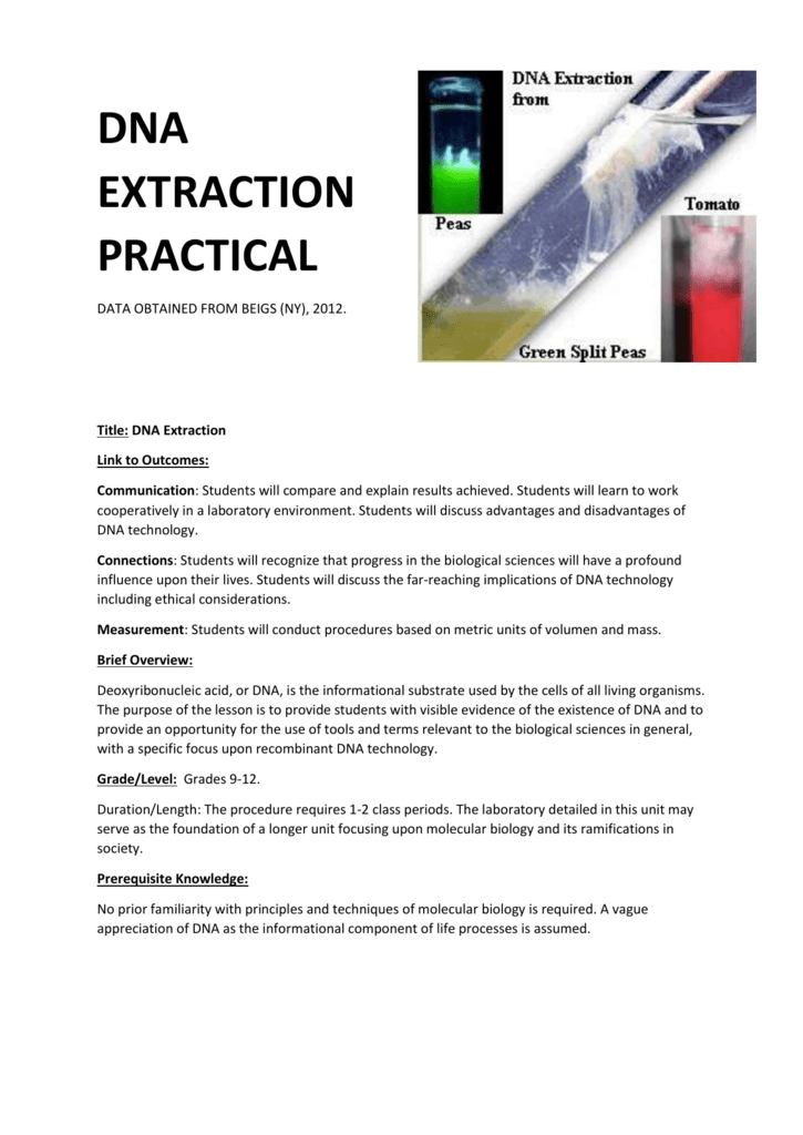 dna extraction from onion discussion