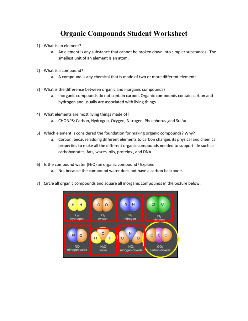 Organic Compounds Student Worksheet Teacher Key