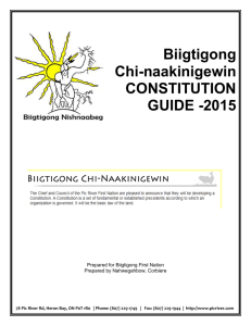 2015_06_24 prfn constitution law guide for techician review