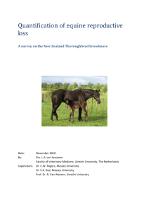 A survey on the New Zealand Thoroughbred broodmare