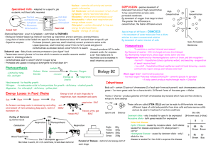 Biology B2 revision sheet colour[1]