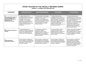 NTDSE Teacher of the Visually Impaired Rubric handout in Text