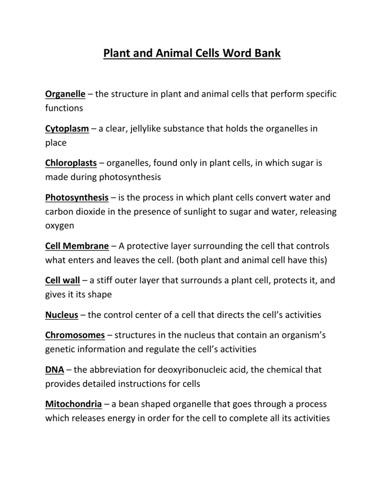 Plant And Animal Cells Word Bank Organelle