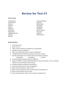 review_for_test_3