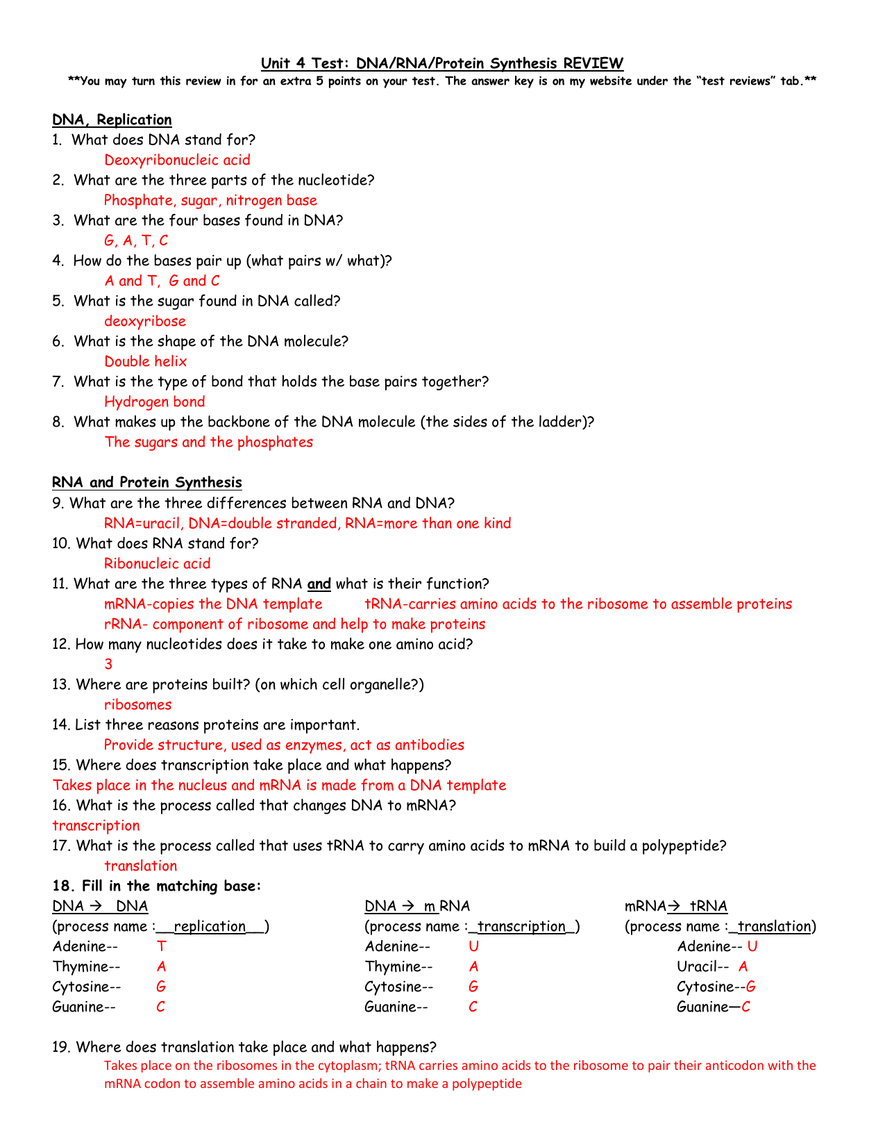 RNA and Protein Synthesis In Protein Synthesis Review Worksheet Answers