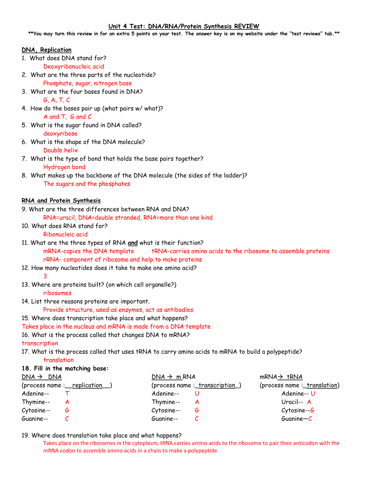 RNA and Protein Synthesis Pertaining To Protein Synthesis Review Worksheet Answers