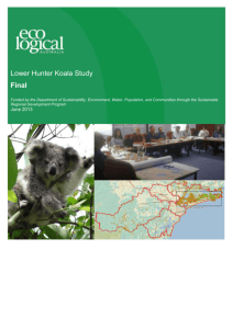 Lower Hunter Koala study - Department of the Environment