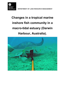 Changes in a tropical marine inshore fish