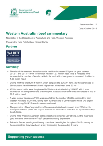 Cattle turn-off and beef production