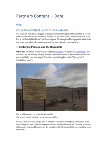 Four Adventures in the South of Namibia