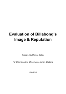Billabong Research Report
