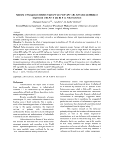 Pericarp of Mangosteen Inhibits Nuclear Factor κB`s (NF