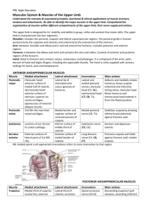 LO wk 4Muscular System - PBL-J-2015