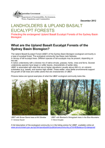 Landholders & Upland Basalt Eucalypt Forests