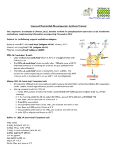 Users Guide for Improved 2015 Phosphoprotein Reagents