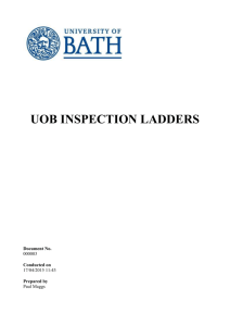 ladder & step ladder inspection