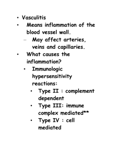 Are seen in some types of vasculitis