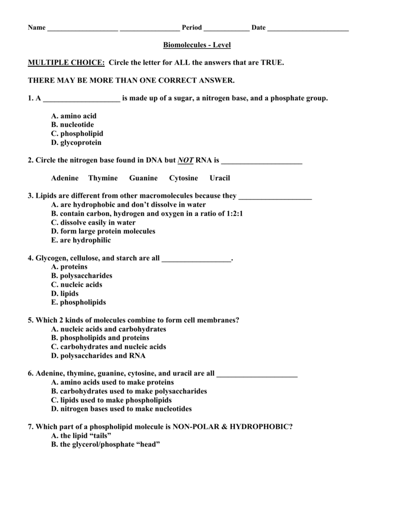 Biochemistry Worksheet Answers