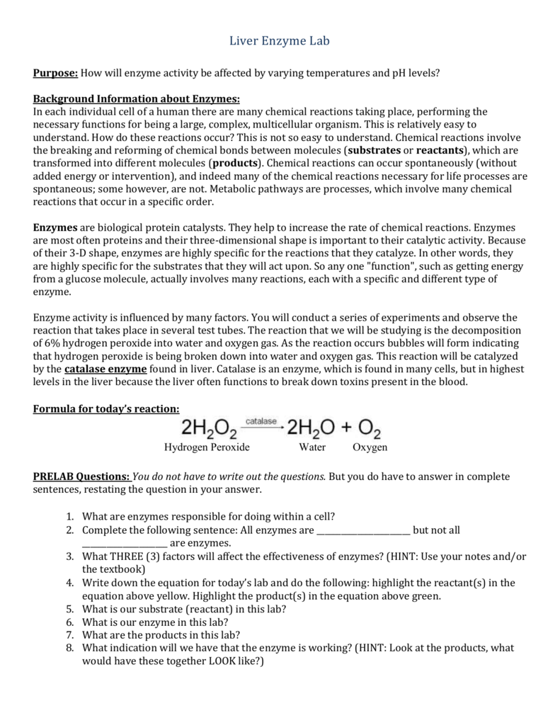 THE LIVER ENZYME LAB