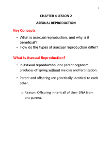 What Is Asexual Reproduction?