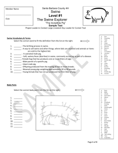 Swine level 1 written sample test (word)