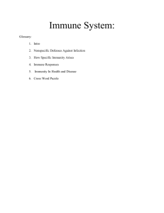 Immune System: - Cloudfront.net