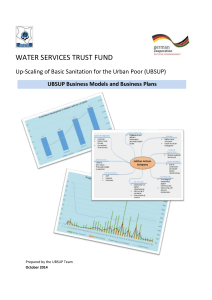 UBSUP Business Models and Business Plans