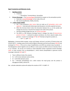 Week 10 handout with answers