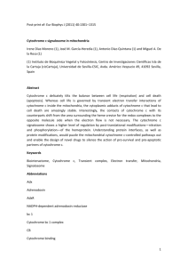 Post-print of: Eur Biophys J (2011) 40:1301–1315 Cytochrome c