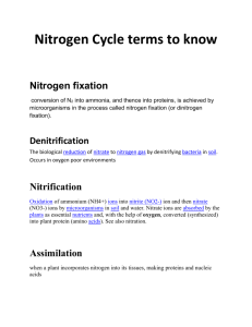conversion of N 2 into ammonia, and thence into proteins, is