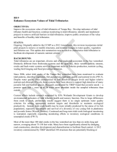 BH-9 Tidal Tribs_ Final Draft_ Dec 30 2015