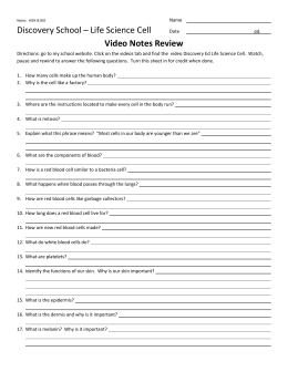 Skin Worksheet
