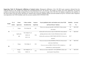 Supporting Table S2. Phylogenetic affiliations of isolated strains
